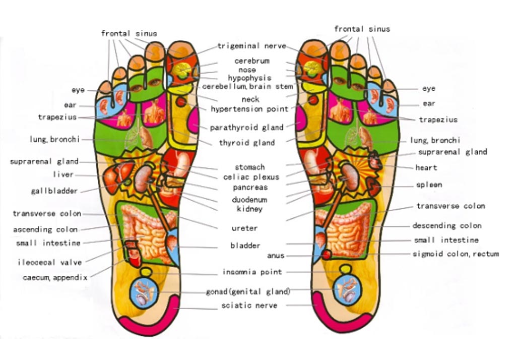 Foot Reflexology Foot Reflexology